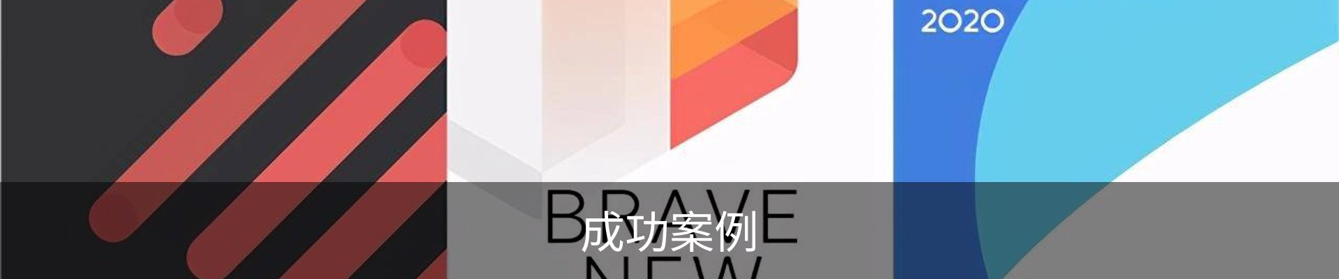 成功案例
